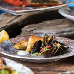 Null APS 84746 Teller -AQUARIS- Ø 26 Cm, H: 3,5 Cm -Aps_germany Geschäft 6411a7ff 2efc 40e7 9edf 47d8e826b47b